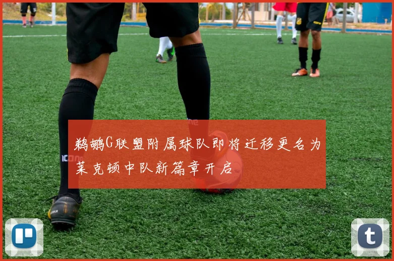 鹈鹕G联盟附属球队即将迁移更名为莱克顿中队新篇章开启