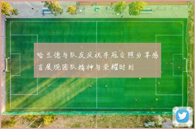 哈兰德与队友庆祝夺冠合照分享感言展现团队精神与荣耀时刻